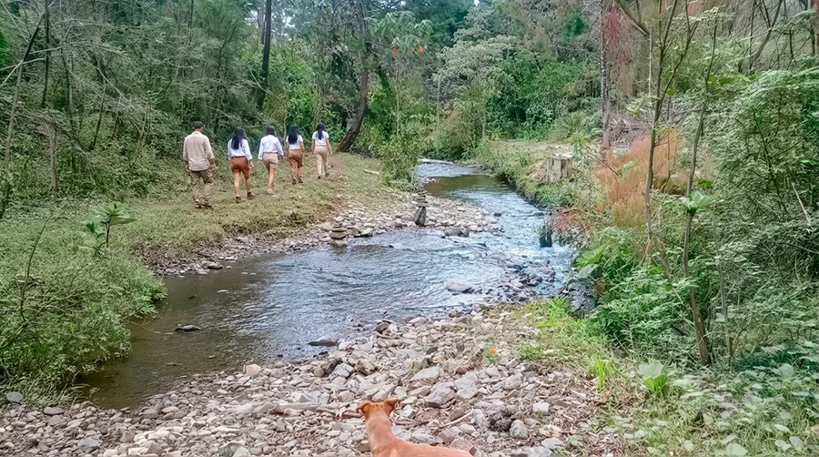 Un grupo camina junto a la quebrada en Santa Elena, acompañado por un perro.